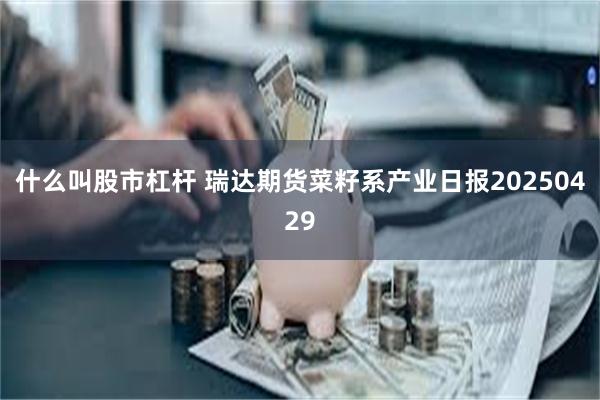 什么叫股市杠杆 瑞达期货菜籽系产业日报20250429