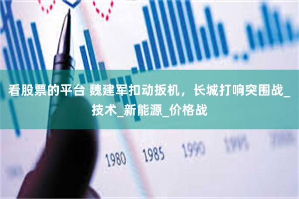 看股票的平台 魏建军扣动扳机，长城打响突围战_技术_新能源_价格战