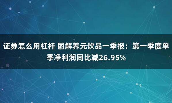 证券怎么用杠杆 图解养元饮品一季报：第一季度单季净利润同比减26.95%