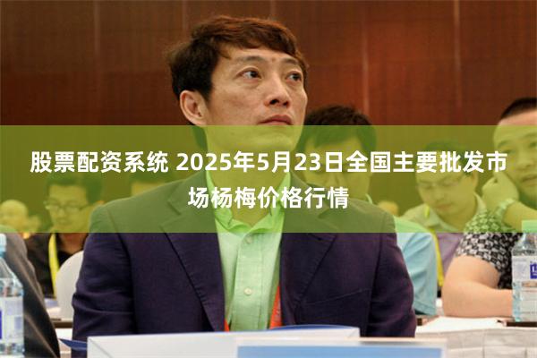 股票配资系统 2025年5月23日全国主要批发市场杨梅价格行情