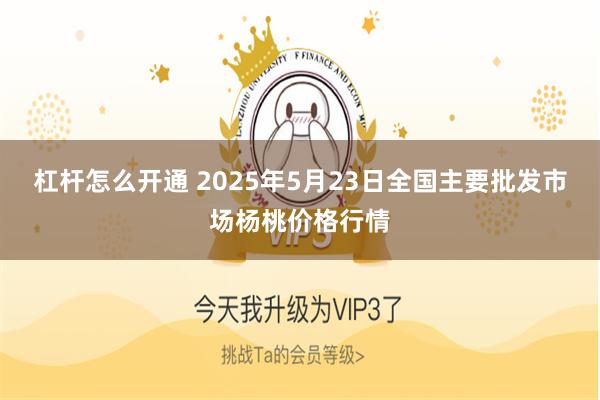 杠杆怎么开通 2025年5月23日全国主要批发市场杨桃价格行情