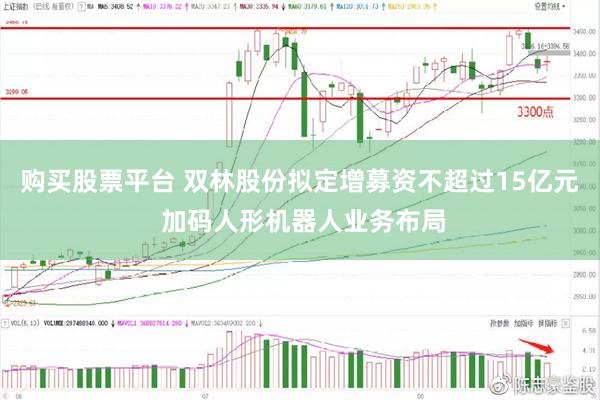 购买股票平台 双林股份拟定增募资不超过15亿元 加码人形机器人业务布局