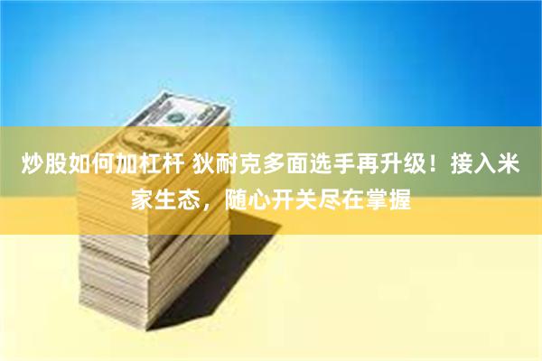 炒股如何加杠杆 狄耐克多面选手再升级！接入米家生态，随心开关尽在掌握