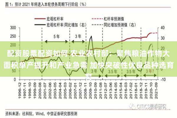 配资股票配资如何 农业农村部：聚焦粮油作物大面积单产提升和产业急需 加快突破性优良品种选育