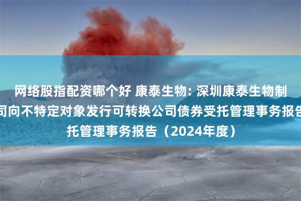 网络股指配资哪个好 康泰生物: 深圳康泰生物制品股份有限公司向不特定对象发行可转换公司债券受托管理事务报告(2024年度)